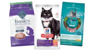 Best dry cat food for cats
